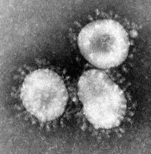 Coronaviruses_004_lores