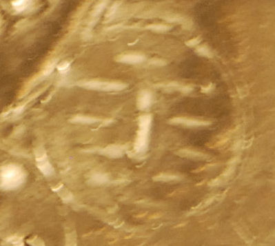 Panel 2 Wyneb bach 2